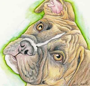 Boxer perro 6 x 6 pulgadas dibujo original - Carla pequeña - Imagen 1 de 1
