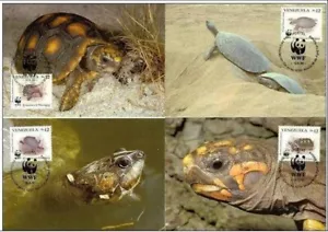 Venezuela 1992 ☀ W.W.F. - FTurtles Red-footed tortoise ☀ 4x MC - Picture 1 of 1