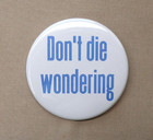 Don’t Die Wondering Large 2.25” Button Repro Gay Lesbian Vintage Slogan LGBT