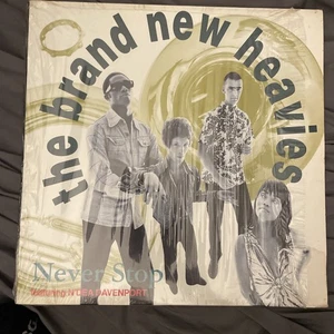 The Brand New Heavies N'dea Davenport Never Stop Vinyl LP Record Delicious Vinyl - Foto 1 di 3