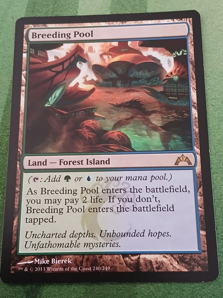 Breeding Pool ~ Gatecrash [ Excellent ] [ Magic MTG ] - Image 1 of 1