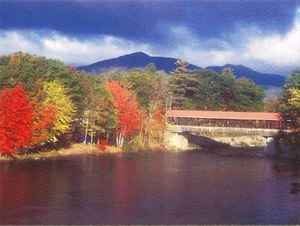 Postcard New Hampshire Conway Saco River Covered Bridge Autumn Unused MINT - Picture 1 of 1