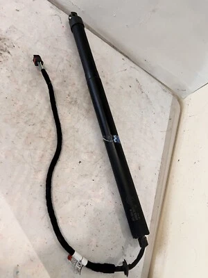 2018 LAND ROVER DISCOVERY  LEFT TAILGATE BOOT STRUT OEM FK7270354AK Foto 1 de 4