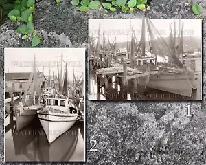 Garnelenboote St. Augustine Florida FL Hafen Pier Kai Netze Flotte Fotos Lot - Bild 1 von 1
