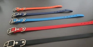3/4" Biothane Hundehalsband (Schnalle) geruchlos, wasserdicht, reißfest KOSTENLOSER VERSAND - Bild 1 von 3