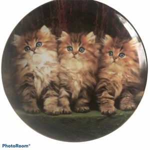 Three Little Kittens by Guy Withers Purrfect Portraits 8x8x1” - Picture 1 of 3