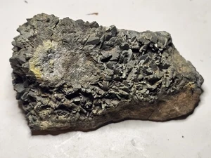 Coxcomb Marcasite dal vecchio distretto di piombo SW Wisconsin - cristalli corrosi affilati - Foto 1 di 6