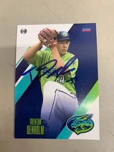 Trenton Denholm Signed Card 2022 Lynchburg Hill Cats Team Card IP Auto - Picture 1 of 1