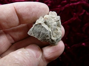 PP500-14) 1 oz Real Fossil Crocodile croc POOP doo doo Triassic era specimen AZ - Picture 1 of 1