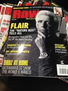 WWF WWE RAW Magazine MARCH 2002 Ric Flair + Diva Poster