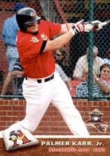 2007 Alexandria Aces Grandstand #16 Palmer Karr Jr Homewood Alabama AL Card