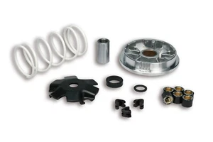 VARIATORE MULTIVAR 2000 MALOSSI PER MBK YAMAHA 50 4T COD. 5113603 - Imagen 1 de 1