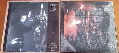 DEAD OR ALIVE "Something In My House" RARE 1986 UK & USA 2x 12" SINGLE VINYL LOT - Image 1 of 4