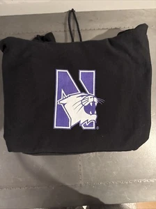 Northwestern Champion Hoodie / Sweatshirt - Picture 1 of 3
