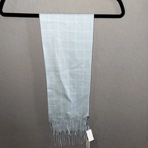 Ann Taylor 100% Cashmere Baby Blue Fringed STRIPED Scarf NWT - Picture 1 of 3