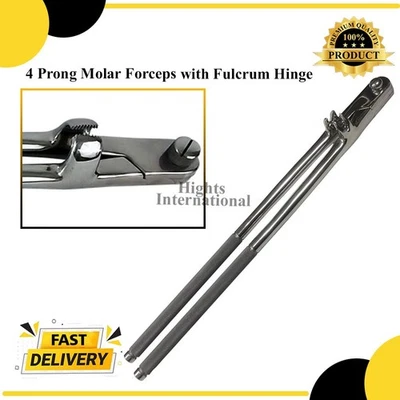19" Stainless Steel Box Jaw Molar Forceps with Fulcrum Hinge - Image 1 of 4