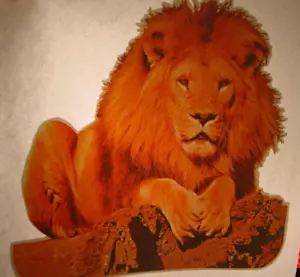 SITZENDER LÖWE VINTAGE 70er TIERREICH BÜGELBILD TRANSFER - SCHÖN B-21 - Bild 1 von 2