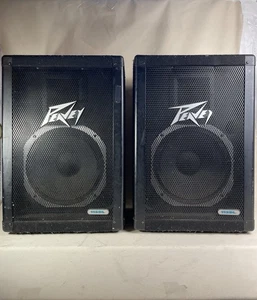 Pair Peavey 112DL Passive PA Speakers Dual 12” 2-Way Stage Monitors - Picture 1 of 20