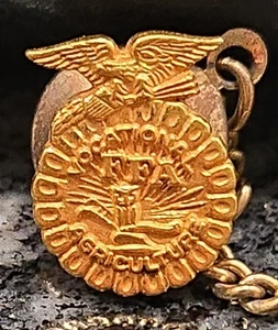Vintage Beruf Landwirtschaft FFA Zukunft Bauern Spange Rückseite Pin Adler Schild - Bild 1 von 1