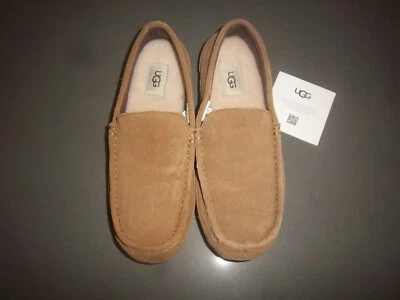 Chinelos masculinos tamanho 8 ugg lã/camurça bege - Novo sem etiquetas - Imagem 1 de 4