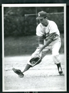 Foto de ligas menores béisbol de Tim Harkness afiliado de Los Ángeles Atlanta Crackers  - Imagen 1 de 2