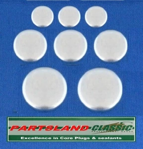 Core Plugs BMW 3, 5, 6, 7, X, X3, X5, X6, E63, E64, E70, E71, E72, E83 530TD 3lt - Picture 1 of 3