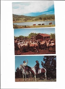 Western~Plasticromo~Vaqueras~Caballos y Ganado~De Colección PC-02 - Imagen 1 de 2