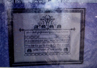 Told In A Garden  Treasure I Counted Cross Stitch Pattern - Image 1 of 2