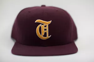 Tiger ? MiLB New Era Vintage Wool Snapback Low-Profile Brandneu Vintage - Bild 1 von 3