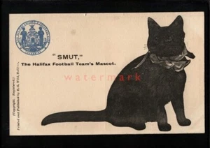 HALIFAX Yorks. FOOTBALL TEAM'S MASCOT "SMUT" BLACK CAT E. G. Wild PC E20C UK1270 - Picture 1 of 1