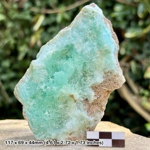 RARE: Green / Blue Aragonite | Badakhshan Province, Afghanistan | Natural - Picture 1 of 3