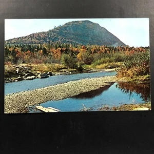 Campbelton, N.B. Kanada Postkarte Zuckerhut Berg Vintage Foto New Brunswick - Bild 1 von 6