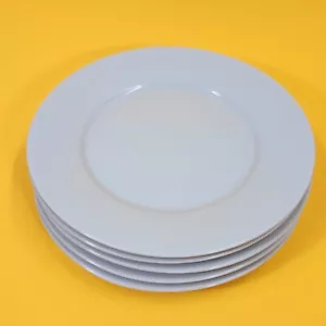 Ikea 365+ Susan Pyke 8.5" Set of 5 Salad Plates 13286 Made in Turkey Blue Stamp - Picture 1 of 19
