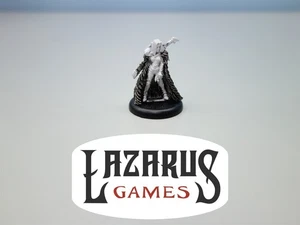 Hordes: Minions - Lanyssa Ryssyl (primed Privateer Press) - Picture 1 of 5