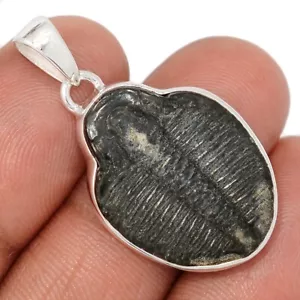 Natürlicher Fossil Trilobit - USA 925 Sterling Silber Anhänger Schmuck CP70664 - Bild 1 von 1
