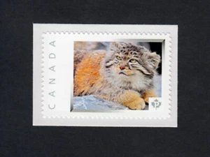 CATO PALAS = salvaje asiático = sello postal Canadá 2013 [p4r4/1] - Imagen 1 de 2