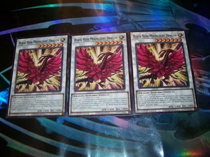3x Black Rose Moonlight Dragon 1ª Edición Común L5DD-ENA28 Yu-Gi-Oh! - Imagen 1 de 1