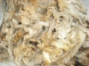 9kg unbehandelte Schafwolle,naturbelassen,Versand kostenfrei - Bild 1 von 5