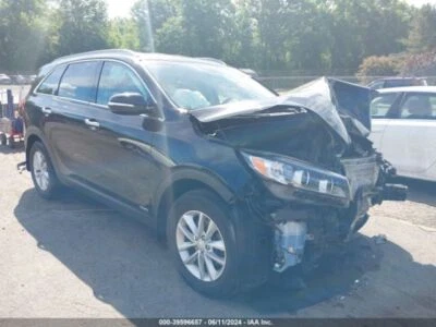 Used Rear Left Door Assembly Rear Side fits: 2018 Kia Sorento w/o sunshade textu Foto 1 de 4