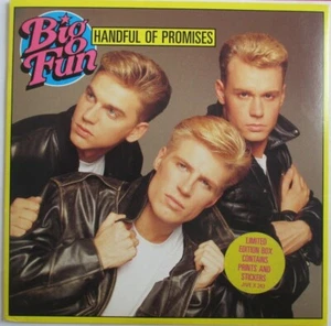 BIG FUN - RARE 7" "HANDFUL OF PROMISES" LIMITED EDITION WITH PRINTS AND STICKERS - Picture 1 of 3