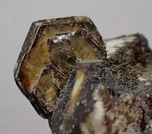 Hervorragende POLYLITHIONIT Mineralien Probe Mont Saint Hilaire persönliche Sammlung - Bild 1 von 12