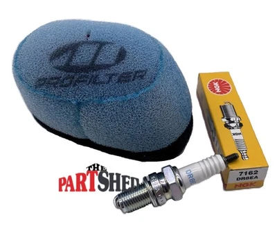 2005-2025 Yamaha TTR230 TTR 230 Air Filter & NGK Spark Plug DR8EA Kit ProFilter — 第 1/4 张图片