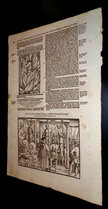 1610-Foxes Book of Martyrs-3 Woodcuts-5 Martyrs-Burned at Stake-1532-Henry 8th - Picture 1 of 3