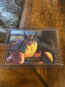 Wolverine 1994 Fleer Marvel Capolavori T.G. Hildebrant Power Blast Holofoil #6 - Foto 1 di 1