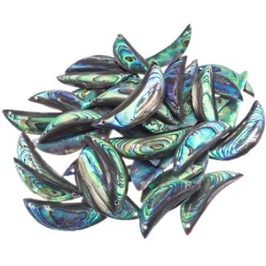 Lote de cuentas de abulón Paua perforadas pequeñas de 1-1,5" de Nueva Zelanda 1-3-6-12 - Imagen 1 de 1