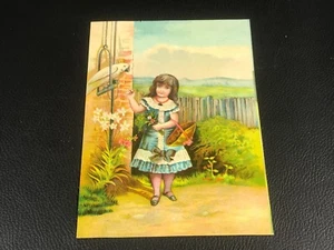 GRAND IMAGE  CHROMO CARD CHICOREE BERIOT 1885   - Bild 1 von 2