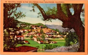 Hollywood CA-California, Beautiful Homes in Hollywood Hills Vintage Postcard - Picture 1 of 2