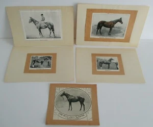 British Racehorse Image Lot SUNSTAR, PRETTY POLLY, BAYARDO, HAZELHATCH, SUREFOOT - Picture 1 of 4