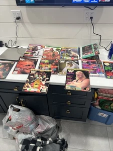 WWF Wrestling Magazine Lot 9 pc Vintage 1990s Hogan+Hart+Flair+Savage+PWI - Imagen 1 de 12
