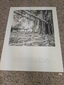 Kunstdruck Baum Pferd alte Jamacia Serie von Robin Farquharson 1975 - Bild 1 von 7